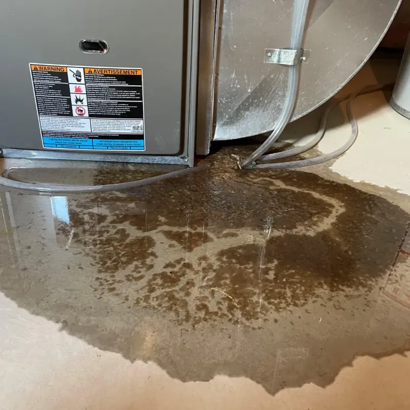 Appliance Leak Cleanup in Zimmerman, MN